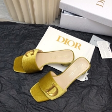 Christian Dior Slippers